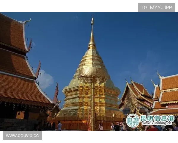 开运国际入口带你开启幸运之门，助你实现财富与健康梦想