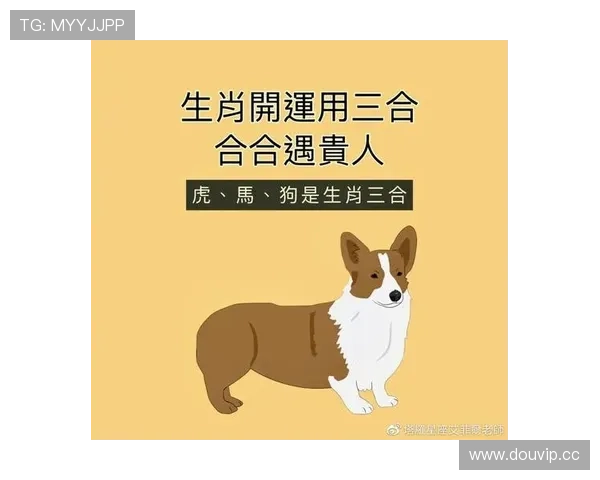 开运官网登录指导:详细步骤帮助你顺利登录开启好运新篇章
