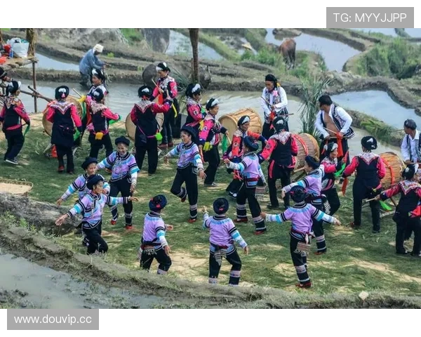 新手指南:开云官方注册的详细流程和常识分享